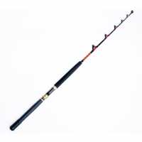 Best Tuna Fishing Rods 