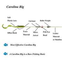 Best Carolina Fishing Rig 