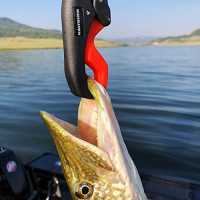 660lb Max Digital Hanging Hook Scale for Big Game & Fish - Tuna Swordfish Marlin Mahi ATE490