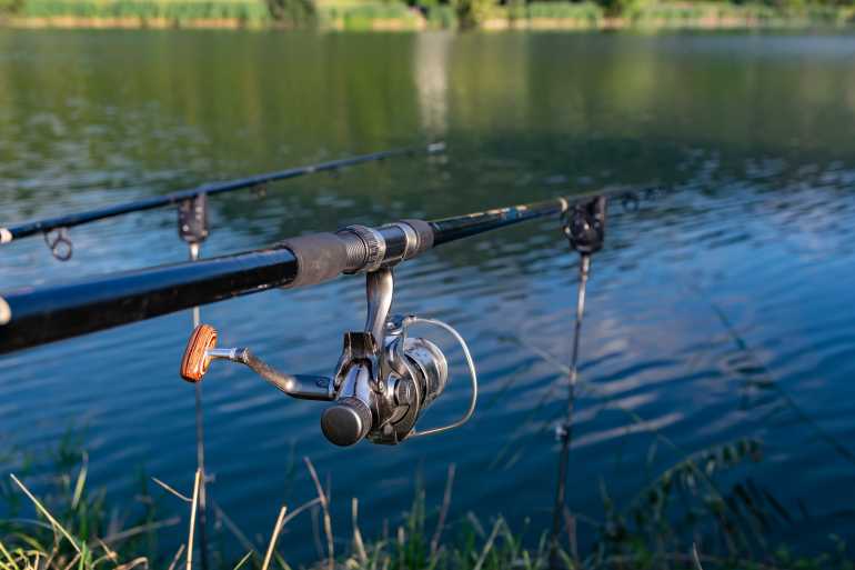 Florida Bass Fishing Guide