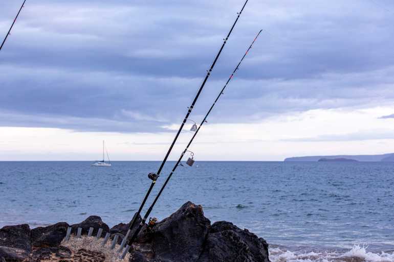 Sport Fishing In Maui