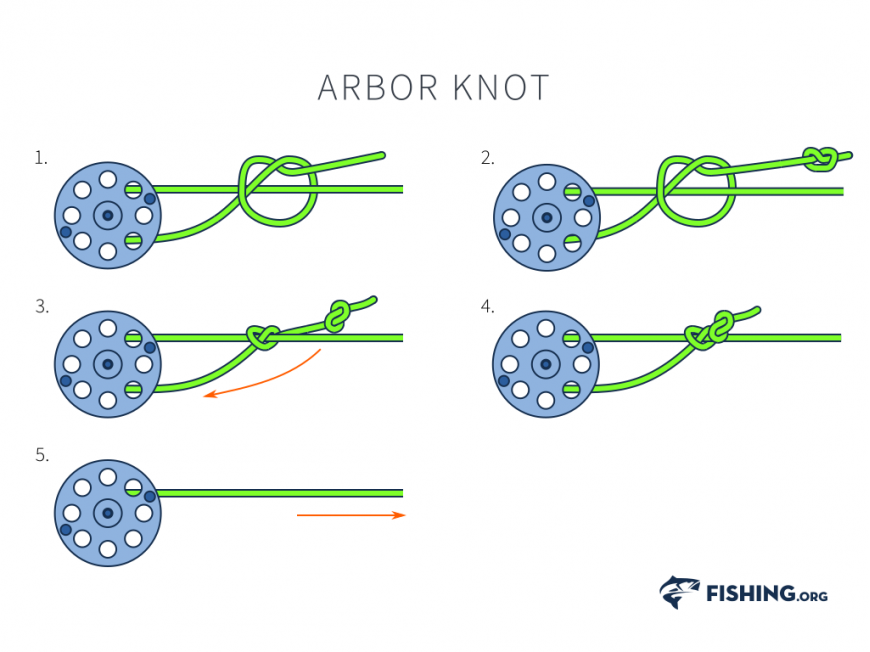 Arbor Knot - How to tie an Arbor Knot