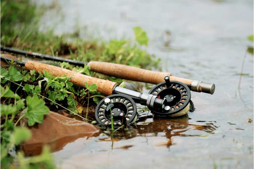 Best Bass Fly Fishing Rods 