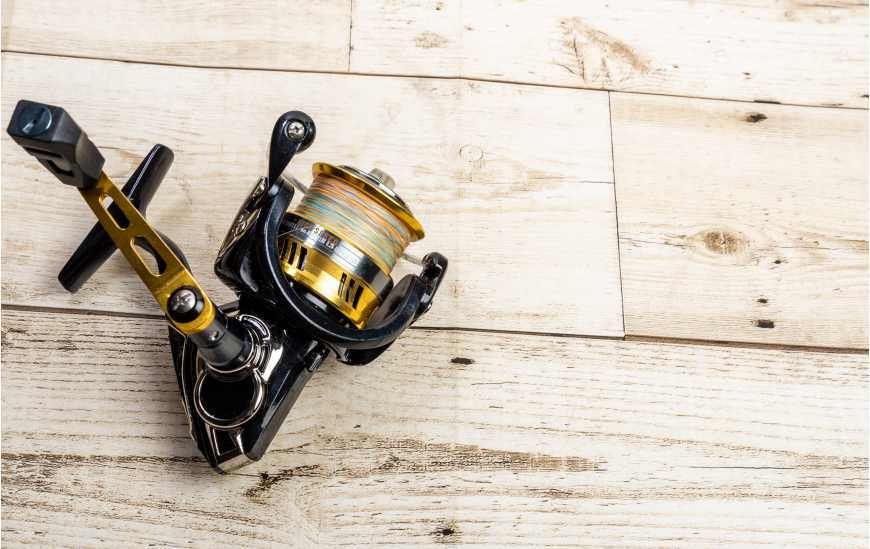 Top 10 Best Baitcasting Reels for Saltwater On  