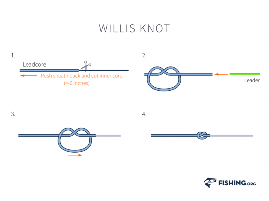 Willis Knot
