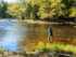 A Few of the Best Fly Fishing Spots in the United States